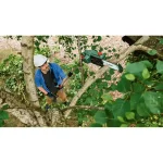 BOSCH Aku teleskopska lančana pila - testera + baterija i punjač UniversalChainPole 18 | Home & Garden - Image 5