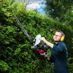 SCHEPPACH Benzinske škare - makaze za živicu HTH250/240P 1 KS - Image 6