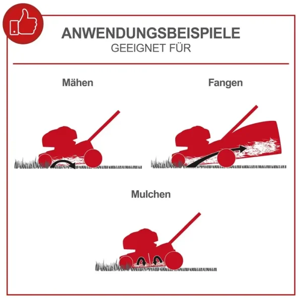 SCHEPPACH Samohodna benzinska kosilica - kosačica MS225-56 6.0 KS - Image 4